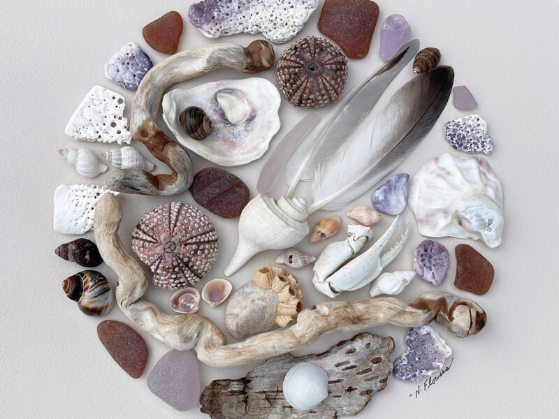 A Tribute to the Sakonnet People