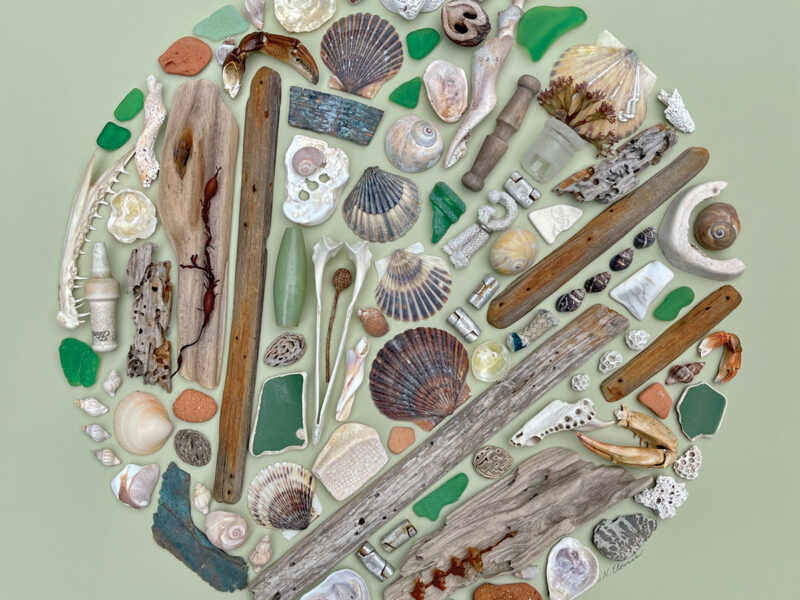 Coastal Collections