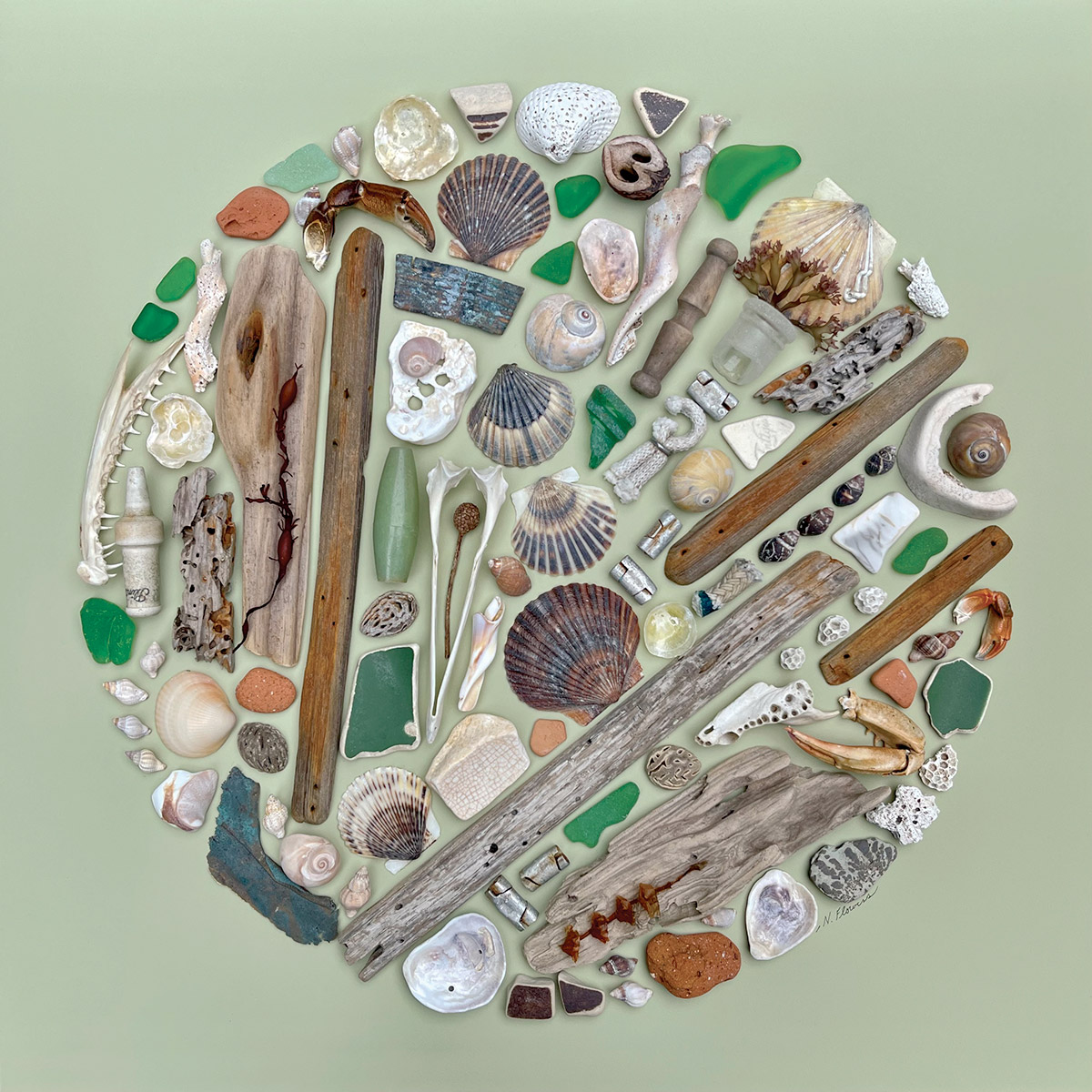 Coastal Collections