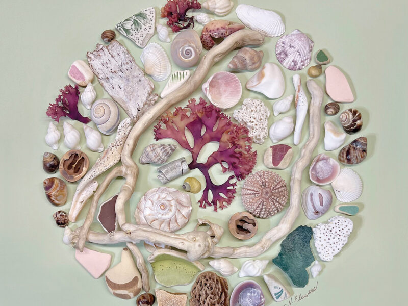 Daydreaming in Green