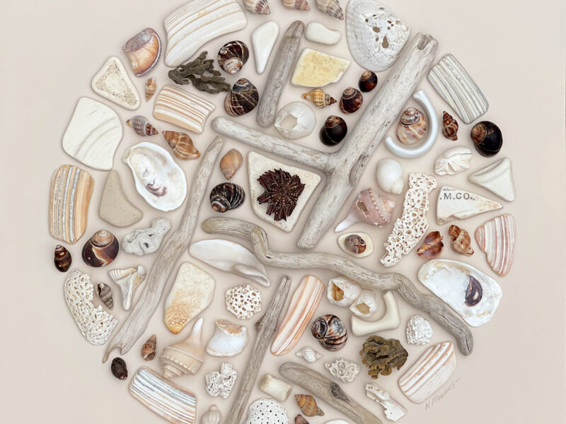 Shell Salt Sand Sea