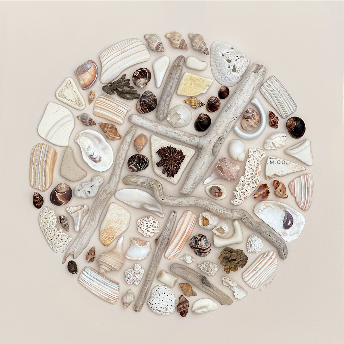 Shell Salt Sand Sea