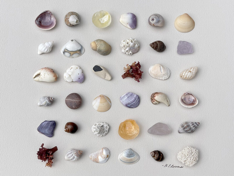 Tide Lines
