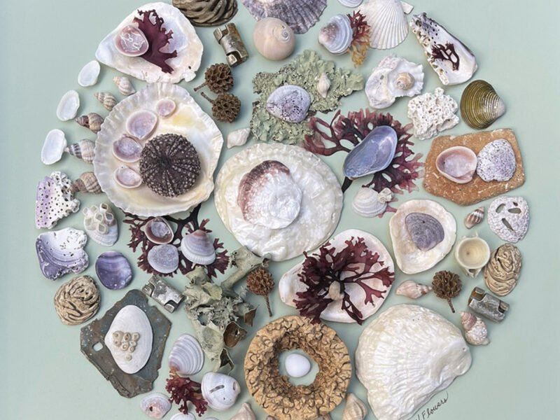 Alchemy of Salt and Lichen